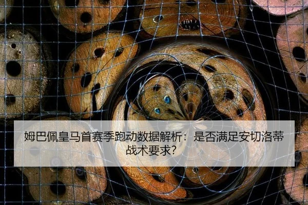 姆巴佩皇马首赛季跑动数据解析：是否满足安切洛蒂战术要求？